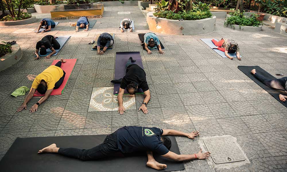Yoga Sequence for Meditation Prep | Jason Crandell Yoga Method